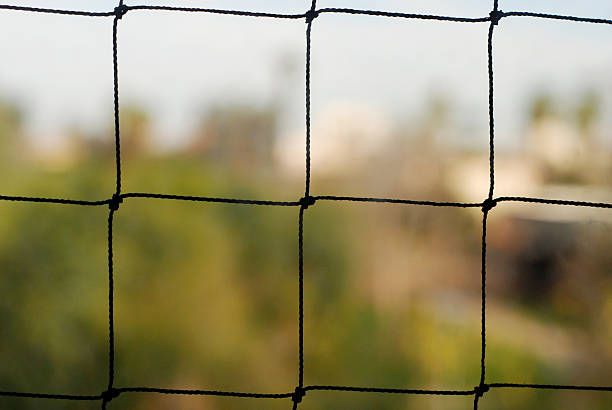 Looking through a net stock photo