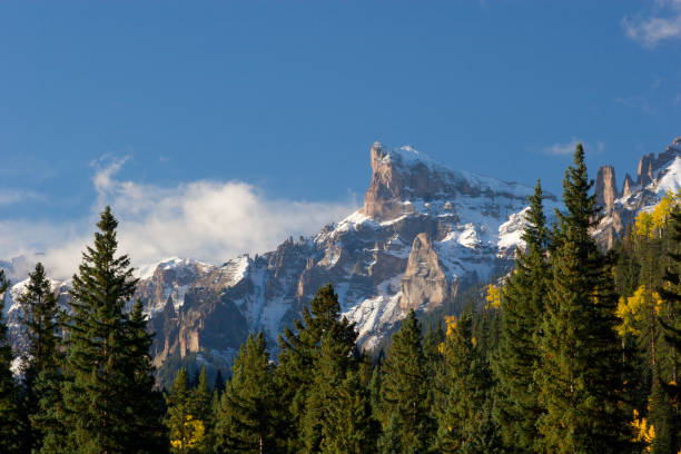 Snow Capped Mountain and Pine Forest "Snow capped colorado mountain peak and blue sky with pine tree forest. San Juan Mountains, Colorado, USAMORE MOUNTAINS & ASPEN" sneffels range stock pictures, royalty-free photos & images