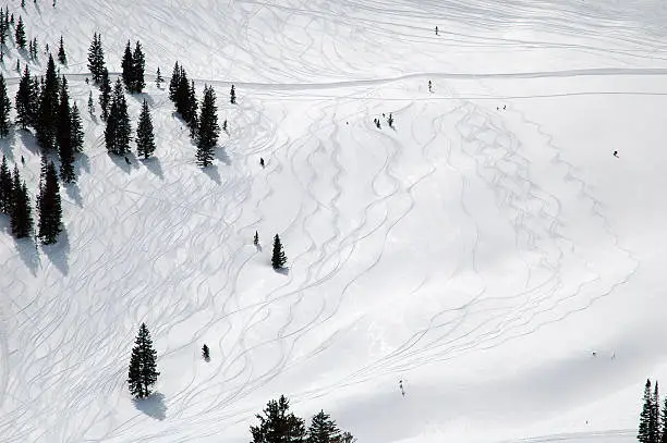 "The backside of Snowbird, UT with turns carved into the powder.Other skiing pictures:"
