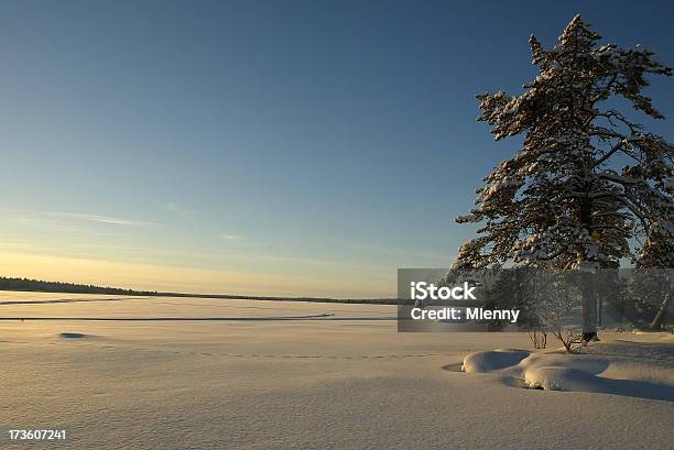 Пейзаж Красивый Финляндия Лапландия — стоковые фотографии и другие картинки Арктика - Арктика, Без людей, Белый