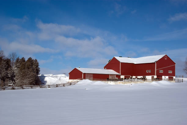 istock Red Wooden Dairy Barn in Winter 173607361