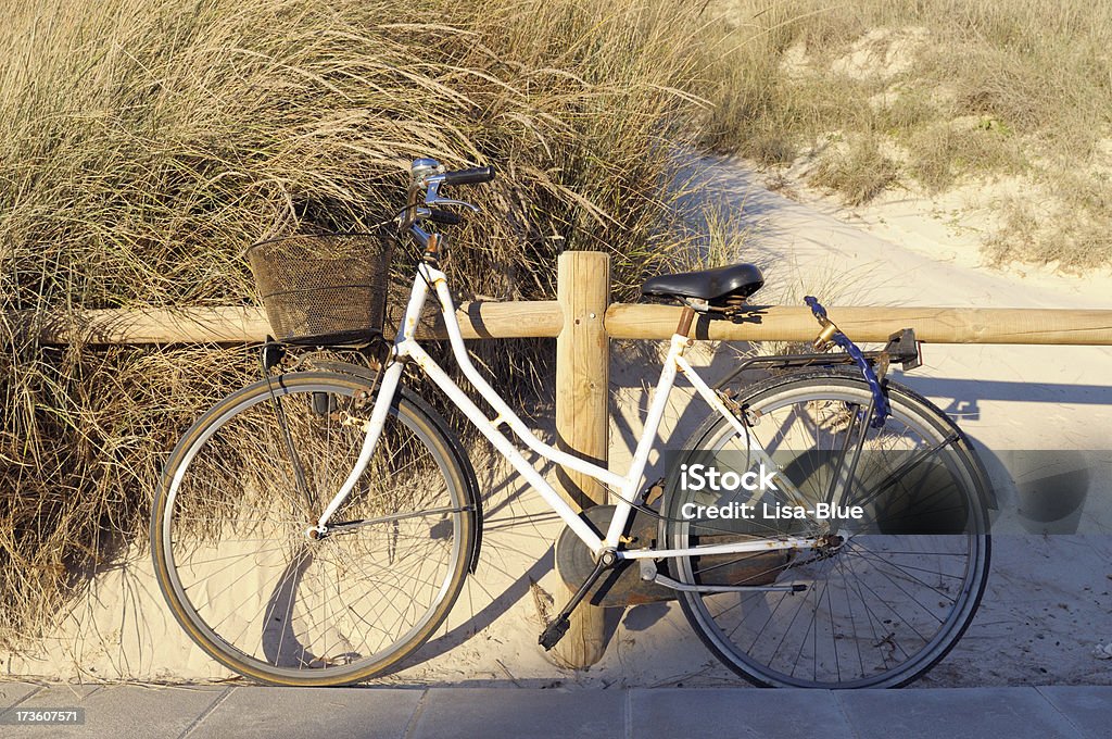 Bicicleta Vintage na praia - Royalty-free Antigo Foto de stock