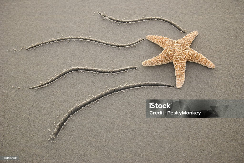 Vuoi fare un tiro Star (fish - Foto stock royalty-free di A forma di stella