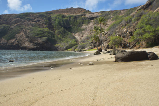 hermosa playa de hanauma bay oahu hawái - hanauma bay hawaii islands oahu bay fotografías e imágenes de stock