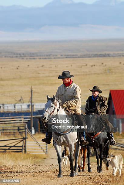 Photo libre de droit de Cowboys Et Ses Chevaux Sur Un Ranch Du Montana banque d'images et plus d'images libres de droit de Cow-boy - Cow-boy, Monter à cheval, Vertical