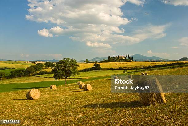 Photo libre de droit de Paysage De Toscane banque d'images et plus d'images libres de droit de Agriculture - Agriculture, Beauté de la nature, Botte de paille