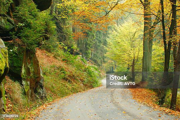 Calzada Del Bosque En Otoño V Foto de stock y más banco de imágenes de Carretera de un solo carril - Carretera de un solo carril, Curva - Forma, Aire libre