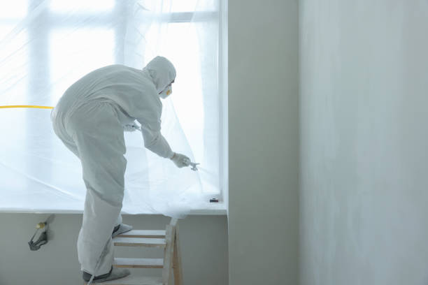 istock Decorator painting window slope on ladder, space for text 1736089740