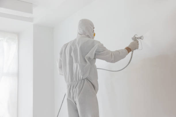 istock Decorator painting white wall with spray indoors, back view 1736091352