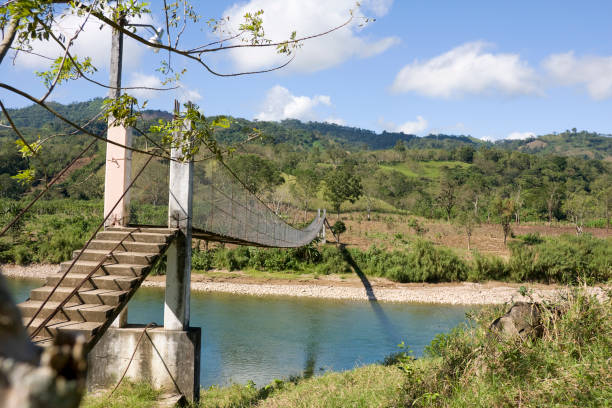 hanging bridge "hanging bridge over river in the tabasco state rainforest, mexico" tabasco state stock pictures, royalty-free photos & images
