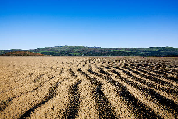 Estuary Sands "Ripples in the sand of the estuary at Portmeirion, North Wales.See also:" portmeirion stock pictures, royalty-free photos & images