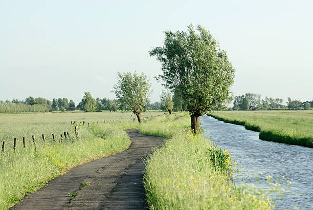 istock Rural landscape with ditch in the Netherlands during summer 173609709