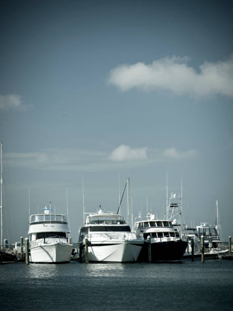 istock Yachts on Biscayne Bay Miami 173609804