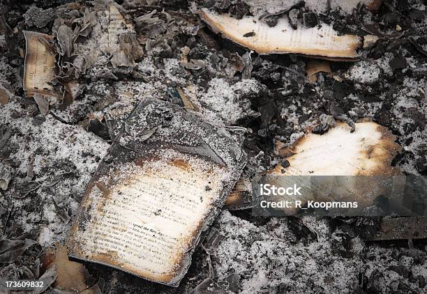 Books Burned In A Fire Stock Photo - Download Image Now - Accidents and Disasters, Ash, Book