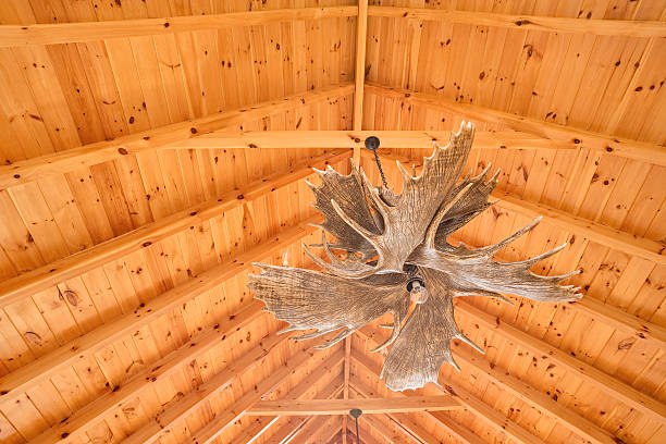 Antler Chandelier! Moose antler chandelier hangs in a modern Log Cabin. antler chandelier stock pictures, royalty-free photos & images