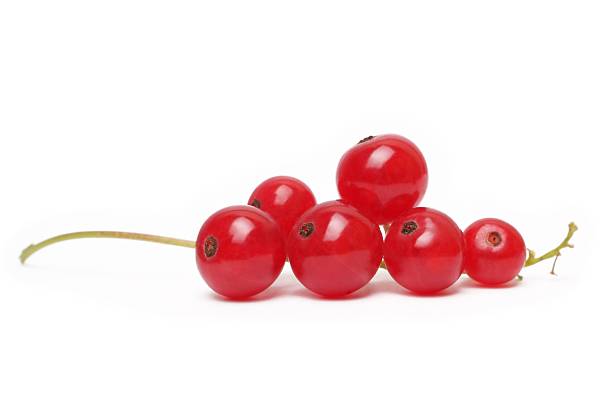 Red currant isolated on white stock photo