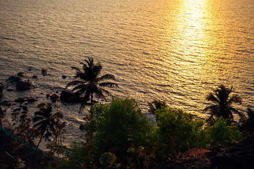 Top view of the shore with palm trees and the sunset Arabian sea. The coast of a tropical country or island at sunset time with mood spirit of adventure.