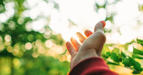 Woods sunrise. Forest recreation. Hope faith. Man hand reaching out to bokeh light beam in blur plants greenery leaves lens flare on outdoors background.