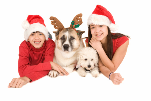 Adorable dog and cat lying on a white bed wearing a Santa Claus Christmas hat. A pet Christmas together.