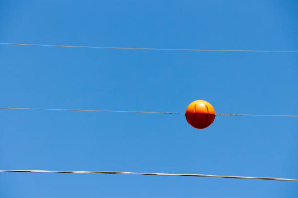 istock Orange utility line ball 20230912_A1R_7348 1736105795