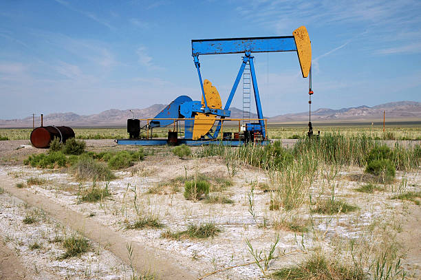 bomba de óleo no deserto - texas tea imagens e fotografias de stock