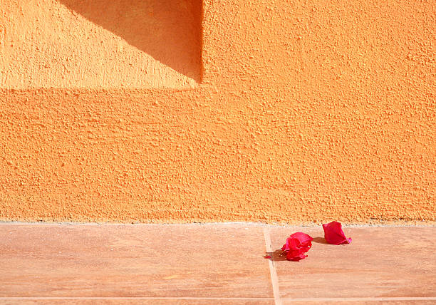 istock Fallen Bougainvillea petals 173610699