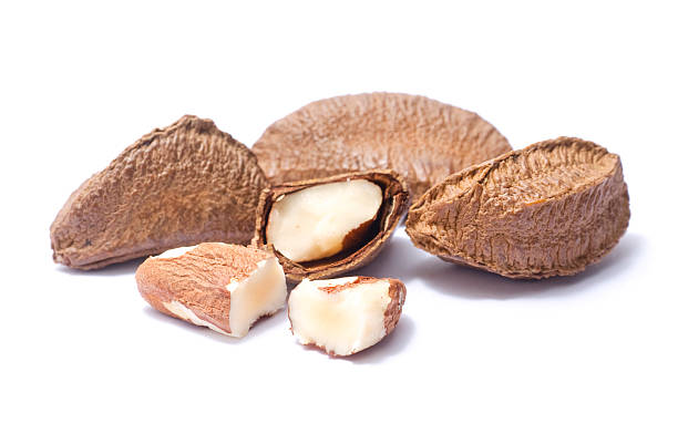Brazil nuts stock photo