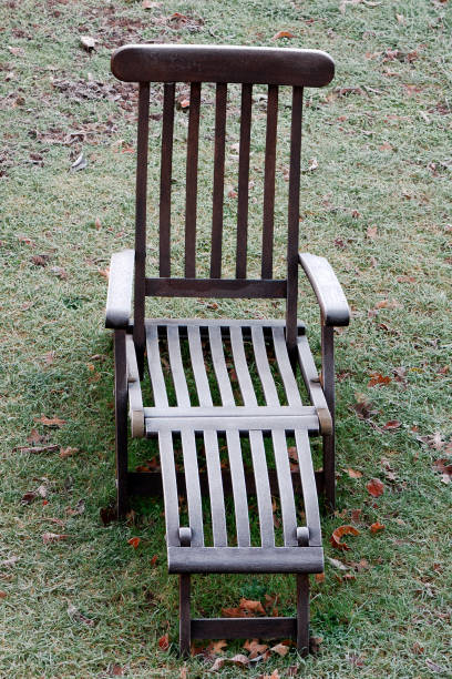 istock Frozen Garden chair 173610748