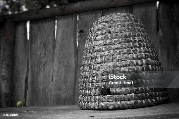 Ramo De Registo - Fotografias de stock e mais imagens de Caniço - Caniço, Colmeia, Agricultura