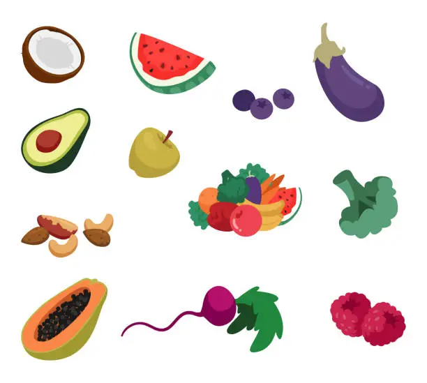 Vector illustration of Set of Ripe Fresh Fruits and Vegetables. Coconut, Watermelon, Blueberries and Eggplant. Avocado, Apple, Broccoli, Nuts