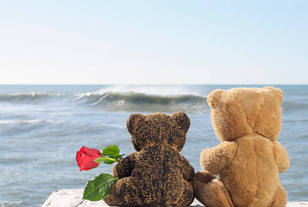 osos de peluche in love holding rose junto al mar - motivation rock flower single flower fotografías e imágenes de stock