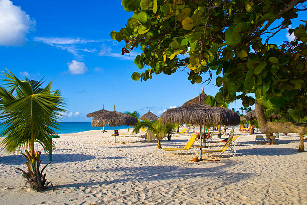 istock Beautiful view of the eagle beach in Aruba 173611582