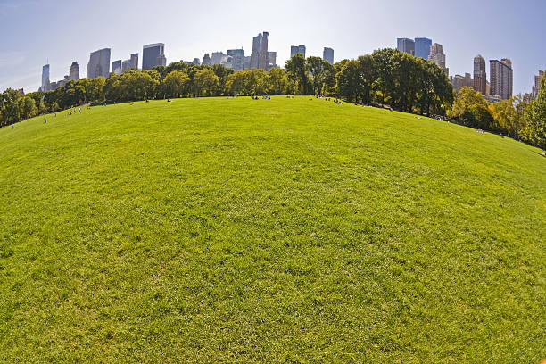 istock New York City # 23 XL 173611787