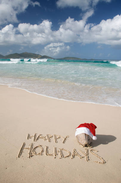 istock Happy Holidays from Coconut Santa 173612337