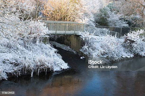 冬の風景 - つながりのストックフォトや画像を多数ご用意 - つながり, カラー画像, スコットランド