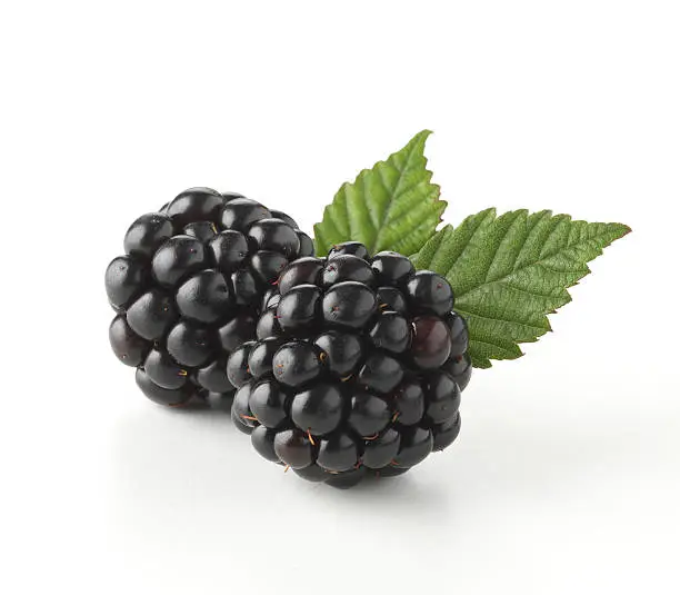 Photo of Close-up of two fresh blackberry with leaves