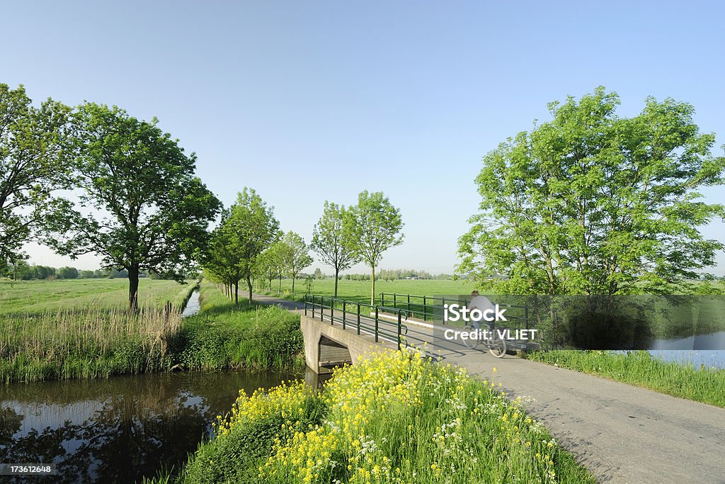 Paisaje Rural con zanja y el puente en los Países Bajos - Foto de stock de Andar en bicicleta libre de derechos