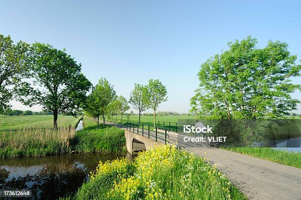 Paisaje Rural Con Zanja Y El Puente En Los Países Bajos Foto de stock y más banco de imágenes de Andar en bicicleta