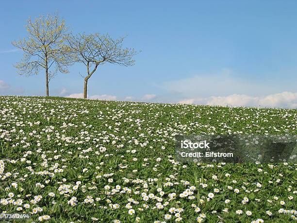 Spring Hillside Stock Photo - Download Image Now - Agricultural Field, Blue, Bright