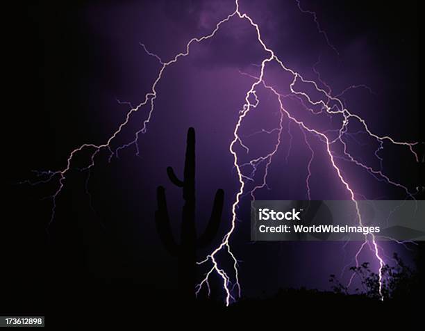 Relámpagos En Cactus Saquaro Foto de stock y más banco de imágenes de Cactus - Cactus, Noche, Aire libre