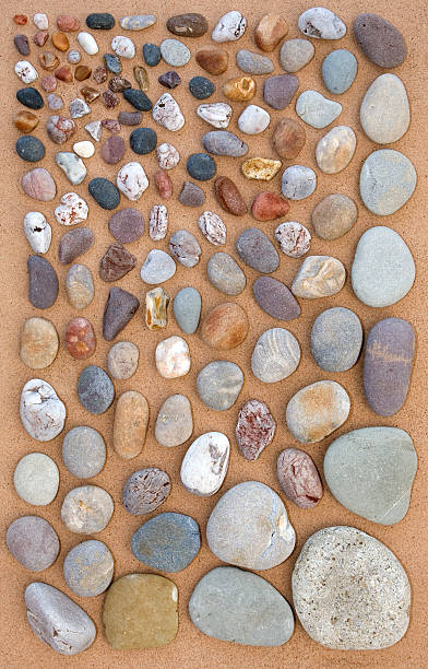conchas, areia, cascalho e desvio série de madeira - abstract backdrop beach close up - fotografias e filmes do acervo