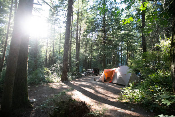 istock A tent in a campsite with large trees in the summertime 1736134252