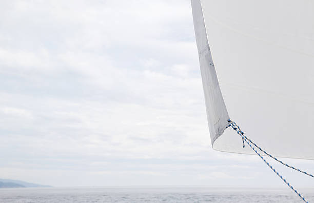 Foresail sur un voilier - Photo