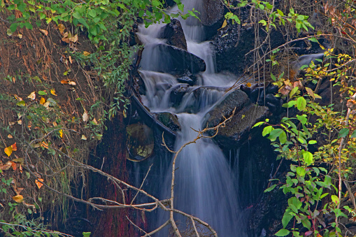 small waterfall behind branches. This small waterfall feeds into the Yakima river, WA