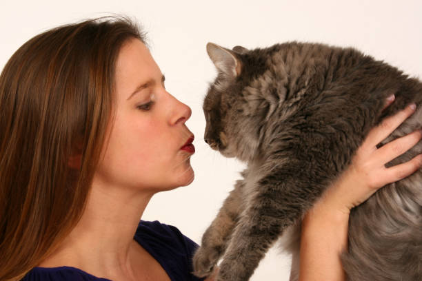 istock Kiss for the cat 173613724