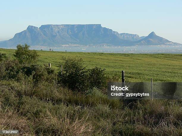 Table Mountain 5 - Fotografie stock e altre immagini di Ambientazione esterna - Ambientazione esterna, Blu, Campo