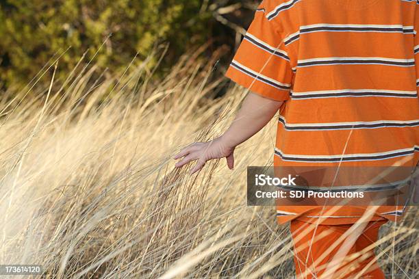 Junge Zu Fuß Durch Ein Feld Stockfoto und mehr Bilder von Gras - Gras, Gestreift, Wiese