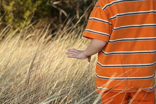 niño caminando en un campo de tall grass - child sensory perception expressing negativity human hand fotografías e imágenes de stock