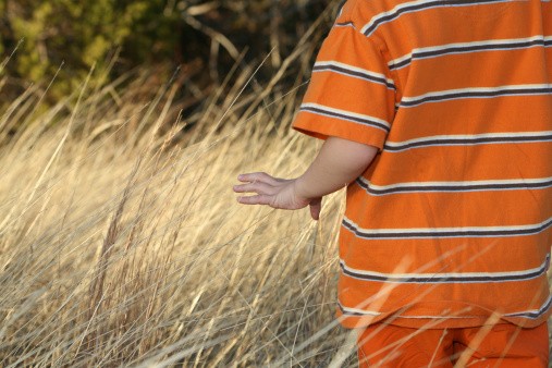Boy walking in a field of tall grass.