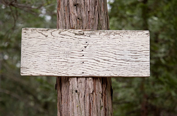 istock Blank Sign in the Woods. 173614471